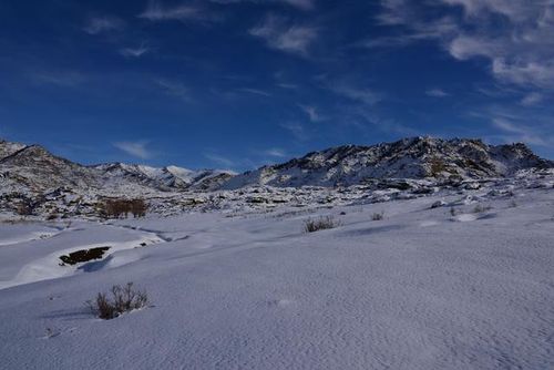 【原创】酷暑难耐的日子里更加怀念阿勒泰的五指泉(组图)