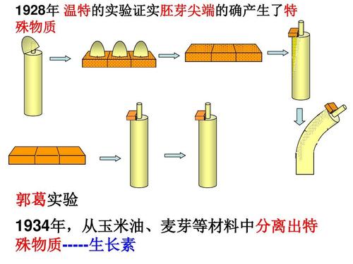 [名校联盟]浙江省泰顺县新城学校八年级科学上册 31
