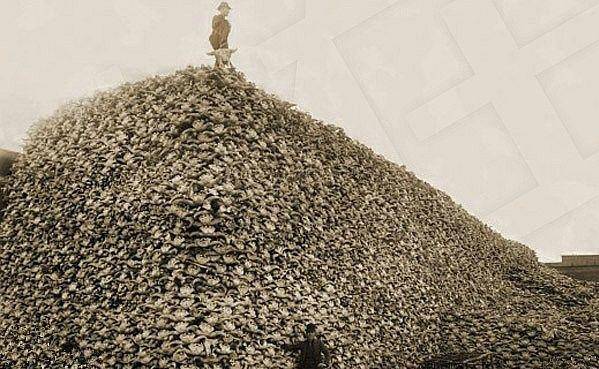 古代战场尸横遍野,六大处理办法,其中一种很恶心,最好别看