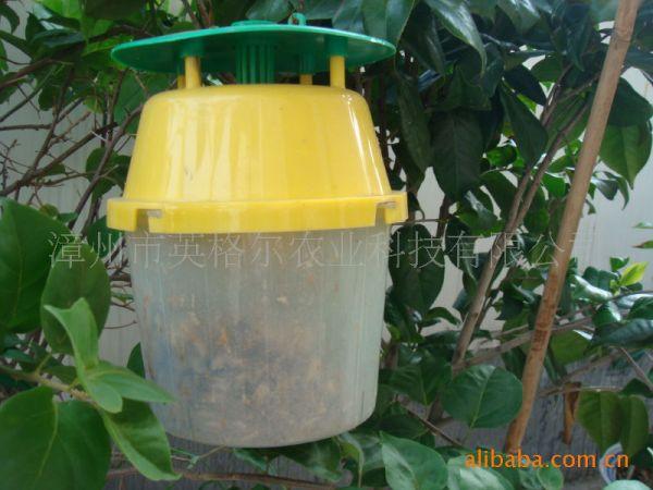 供应斜纹夜蛾信息素诱捕器