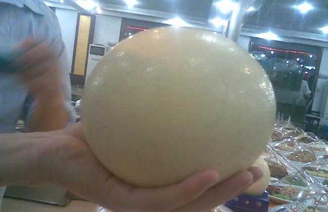 鸵鸟蛋多少钱一个