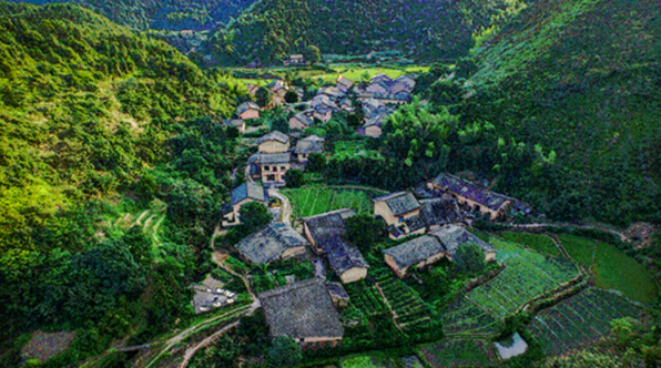 湖南省醴陵市沩山镇沩山村