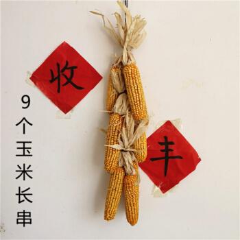 娴雅干玉米棒子真实土玉米棒农村干玉米老玉米棒装饰品玉米穗带皮9个