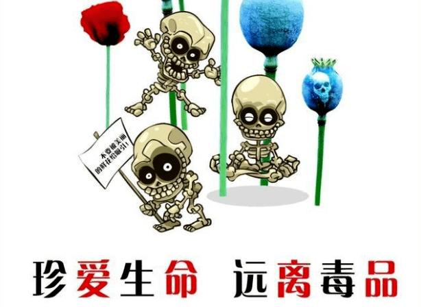 因为罂粟是制取毒品的重要来源,从罂粟蒴果上提取的汁液,可加工成鸦片