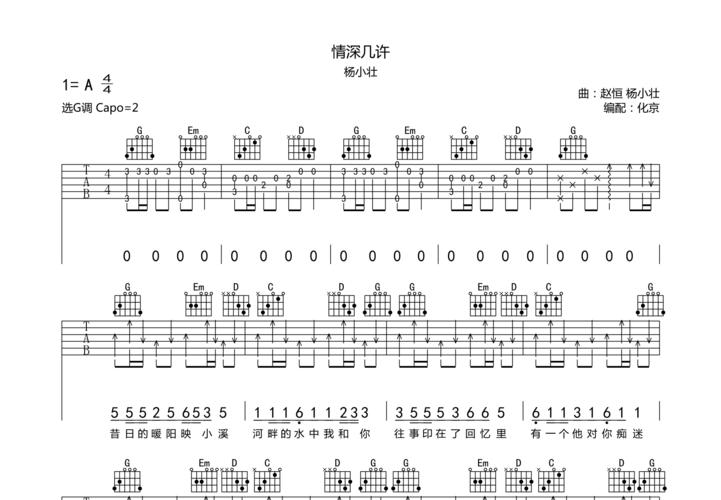 情深几许吉他谱_杨小壮_g调弹唱 - 吉他世界网