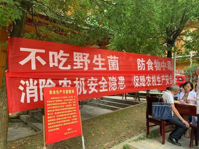 紫薇镇开展野生菌中毒防控集中宣传活动