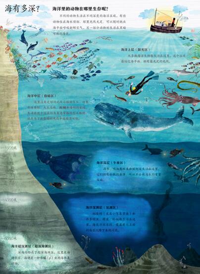 不同的动物生活在不同深度的海洋区域.