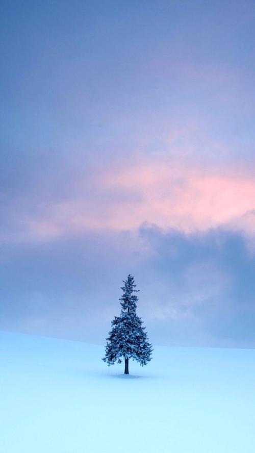 唯美城市风景 自然风光 iphone手机壁纸 唯美壁纸 锁屏