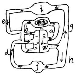 20分下图是人体血液循环示意图据图回答