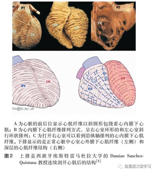 右心室从解剖病生理到临床实践