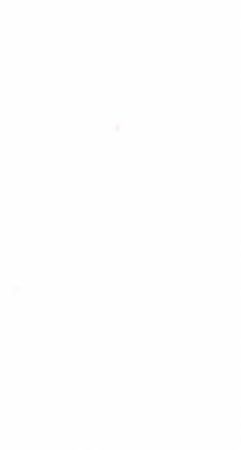 首页 女性 全屏纯白色壁纸