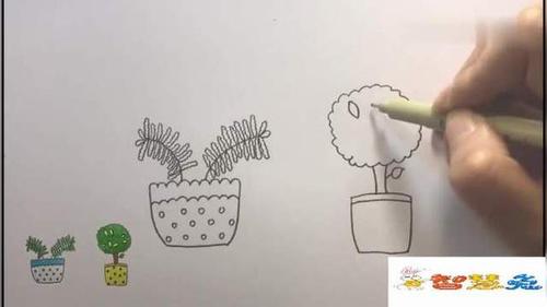 简笔画-含羞草盆栽