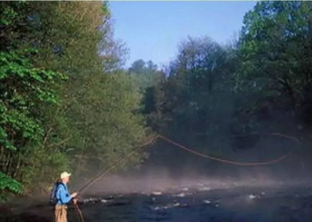 一篇文章,教你掌握"飞蝇钓法"的精髓