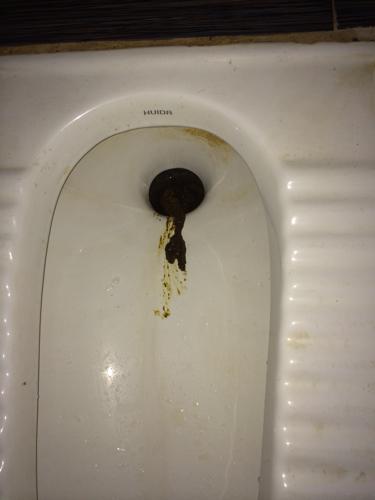 这个是血便吗如果是请问通常是什么疾病