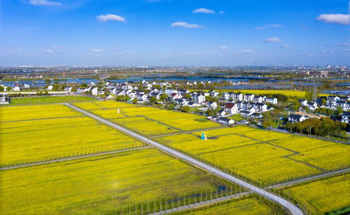 嘉善县文旅一体融合发展 "点亮"梦中的江南水乡