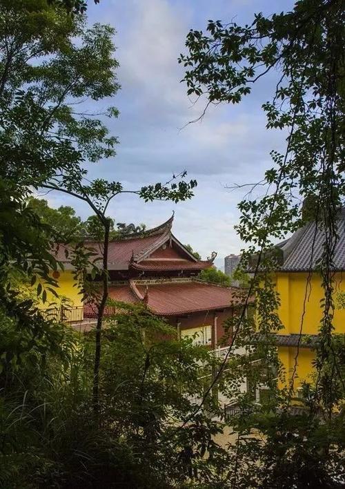 春天里福建古林岩的美