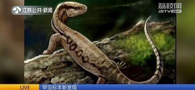 罕见标本新发现:一亿年前的蜥蜴爱吃小龙虾 而且极可能是被撑死的