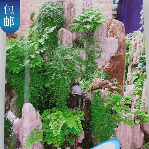 假山绿植盆景