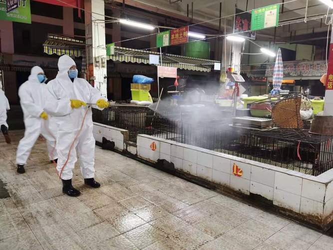 面对新型冠状病毒感染的肺炎疫情百色市农业农村部门在行动