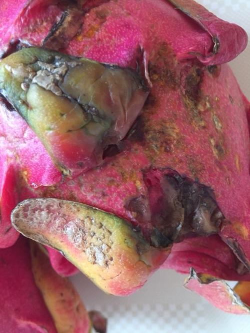 我们为您提供火龙果 进口的优质评价,包括火龙果 进口商品评价,晒单