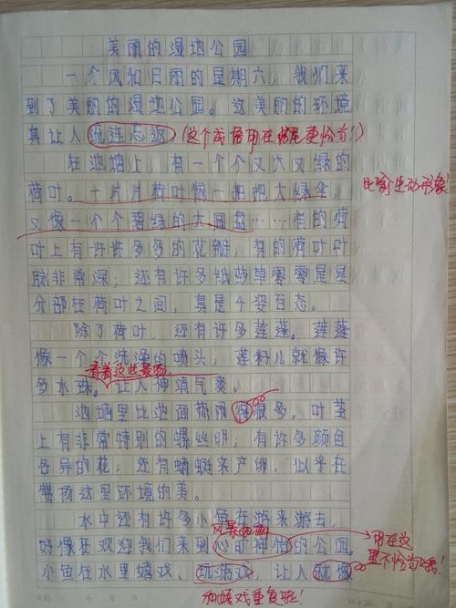 蒂娜教育快乐作文快乐英语暑期活动――湿地公园赏荷花,在领略美景中