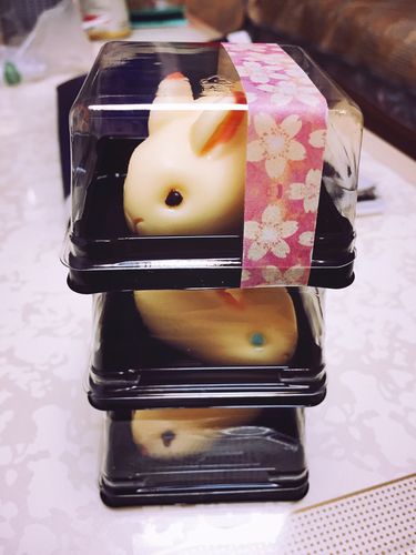 虽然成功定型了的兔子巧克力,但齁甜,只适合观赏