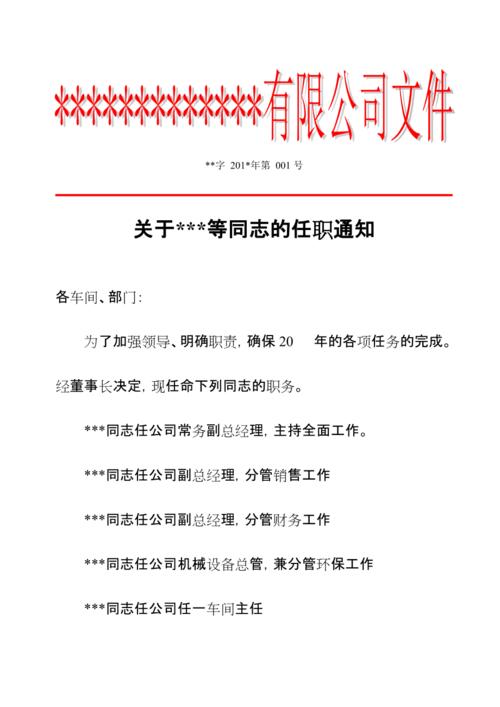 公司任命文件(最新整理)_1