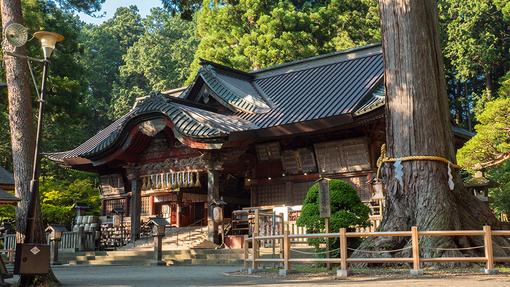 日本富士山玩雪相模湖灯展一日游yeti雪场玩雪卡其卡其山缆车美味自助