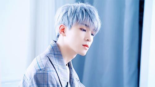 全圆佑 - 堆糖,美图壁纸兴趣社区