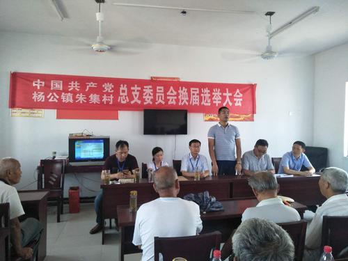 谢家集区杨公镇圆满完成村级党组织换届工作