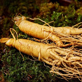 半山农 新鲜人参7-8支250克 东北长白山现挖鲜参新鲜人参 煲汤泡酒料