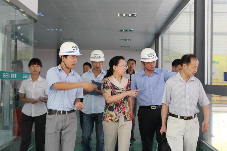 江西省商务厅副厅长李青华一行考察江西格林美报废汽车循环利用产业园