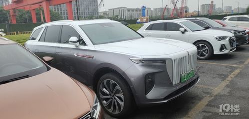 红旗e-hs9,气场堪比库里南