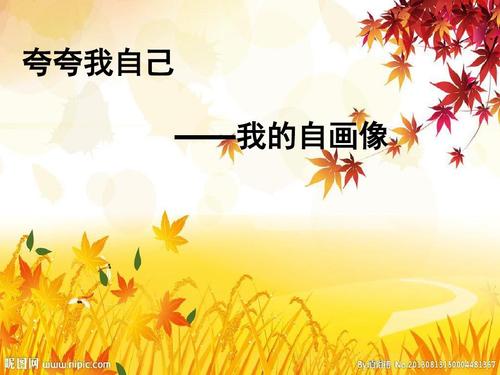 夸夸我自己 ——我的自画像