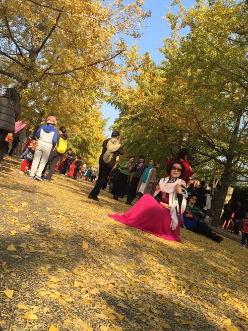 旅顺太阳沟银杏大道和樱花林美篇