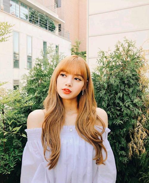 带lisa摘星星