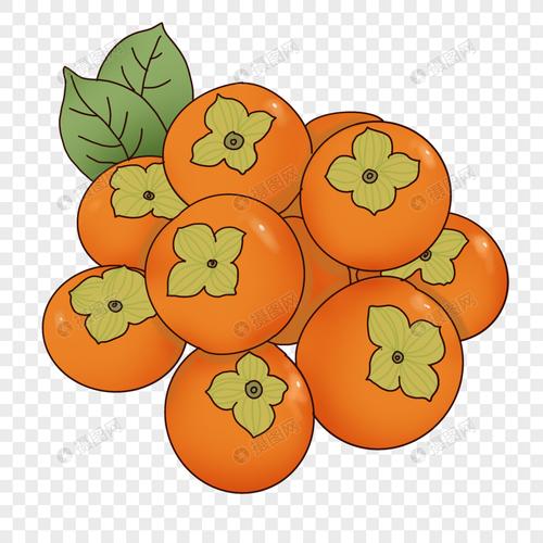 手绘秋季水果柿子