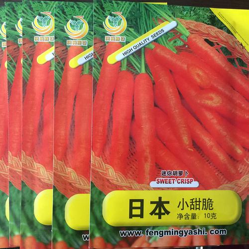 日本进口小脆甜生食胡萝卜种子(10克)-蔬菜种子-萝卜种子-胡萝卜