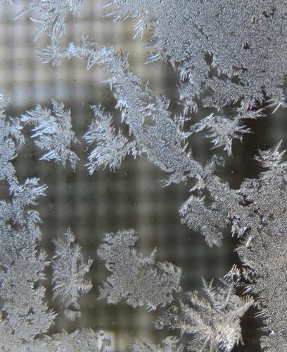 冰花,童年的最爱.09.30.2020.