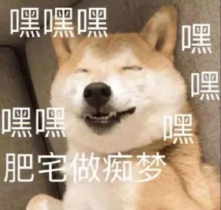 搞笑一组汪星人doge表情包,献媚讨好