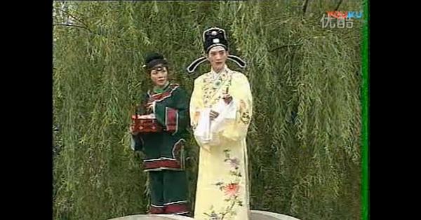庐剧《孟丽君后传》十二集电视剧 (魏小波&汪丽&王小兰&马妹) 第五&六
