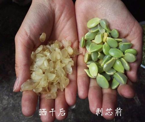 目前国内销售皂角米的很少,大部分都是以农户自产自销为主,价格