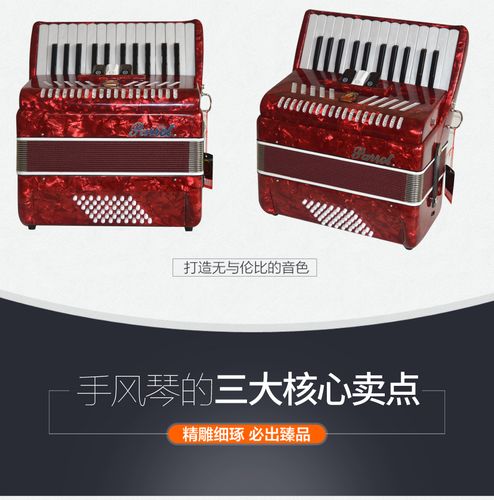 鹦鹉yingwu 48贝斯26键手风琴 yw-860儿童初学演奏_现价2100元