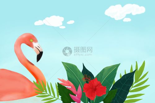 火烈鸟和热带植物花卉