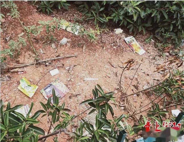 石化广场绿化设施频遭人为破坏,一些人擅自闯入绿地内"撒野",毁坏花草