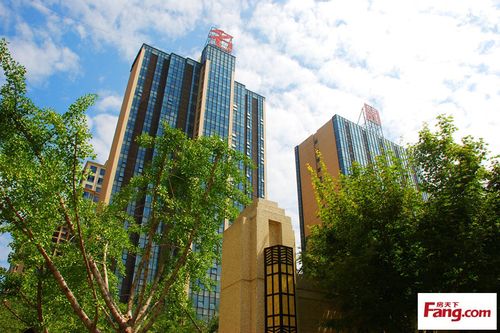 烟台金海名园我爱我家摄影大赛作品