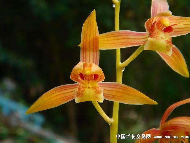 瑶琳胭脂这几年的开品看颜色失真了吗