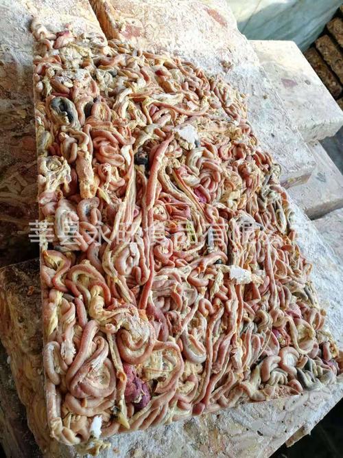 【鸡肠】公司大量销售批发冷冻鸡肠 动物性饲料 冷冻食品鸡肠