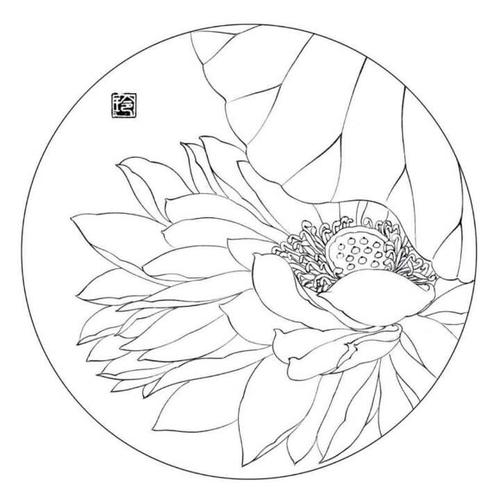 白描以及各种团扇