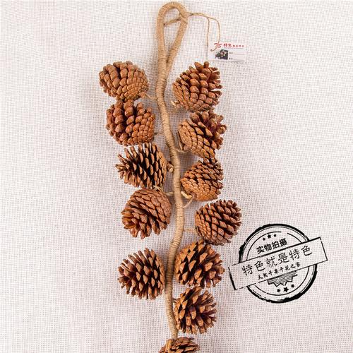 天然干果挂件松果 创意艺术装饰 样板房 酒店 家具装饰批发图片